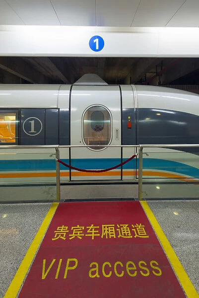 China, Shanghai, Pudong District, Pudong International Airport, Maglev Train, VIP Access