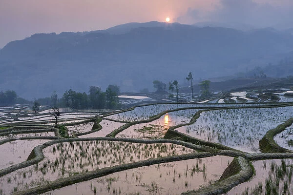 China, Yuanyang, Rice Terraces, Yunnan Province