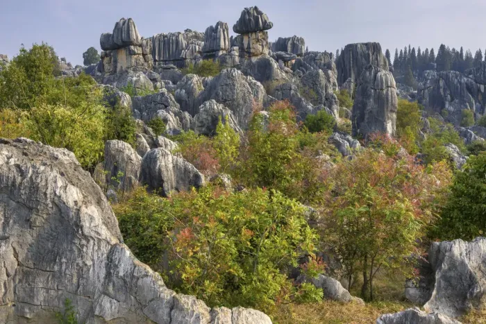 Framed Print : China, Yunnan Province, Shilin Stone Forest Framed Print : China, Yunnan Province, Shilin Stone Forest