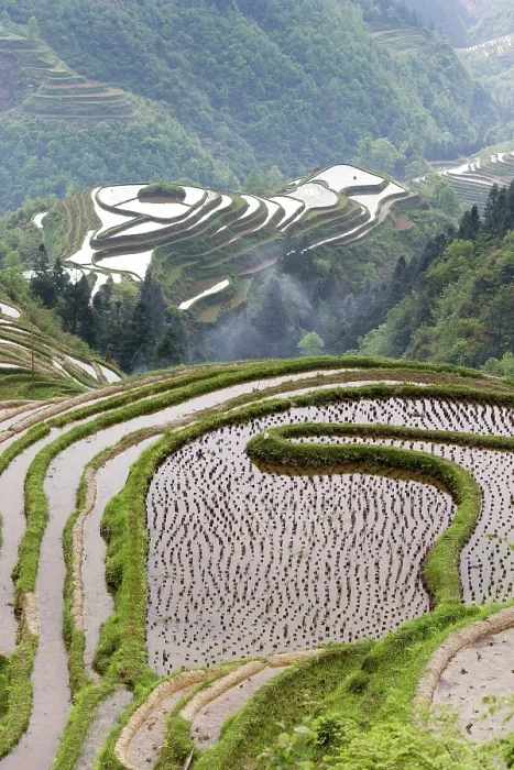 Framed Print : China, Zhonghua, Guizhou, Jiabang rice terraces of southern Guizhou