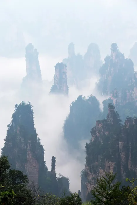Framed Print : China, Zhonghua, Hunan, Zhangjiajie National Forest Park, The Hallelujah mountains at dawn surrounded by mist Framed Print : China, Zhonghua, Hunan, Zhangjiajie National Forest Park, The Hallelujah mountains at dawn surrounded by mist
