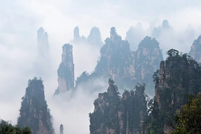 Framed Print : China, Zhonghua, Hunan, Zhangjiajie National Forest Park, The Hallelujah mountains at dawn surrounded by mist Framed Print : China, Zhonghua, Hunan, Zhangjiajie National Forest Park, The Hallelujah mountains at dawn surrounded by mist