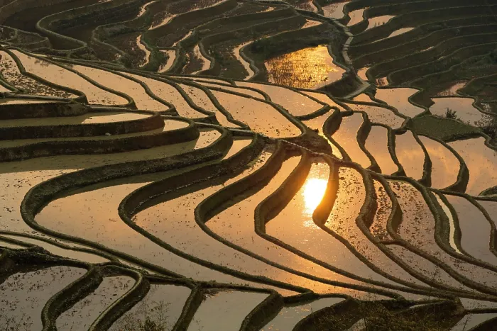 Framed Print : China, Zhonghua, Yunnan, Yuanyang, Hani rice terraces Framed Print : China, Zhonghua, Yunnan, Yuanyang, Hani rice terraces