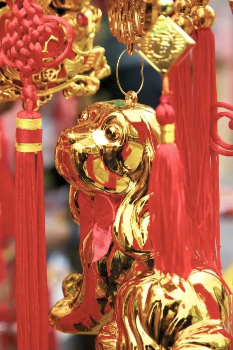 Framed Print : Chinese New Year Decorations, Hong Kong, Special Administrative Region of the People s Framed Print : Chinese New Year Decorations, Hong Kong, Special Administrative Region of the People s