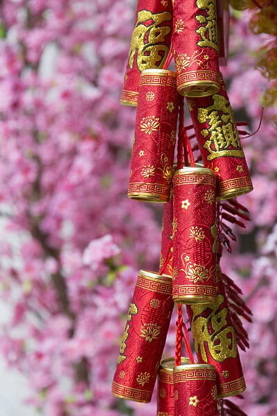 Chinese New Year decorations and plum blossom, Hong Kong