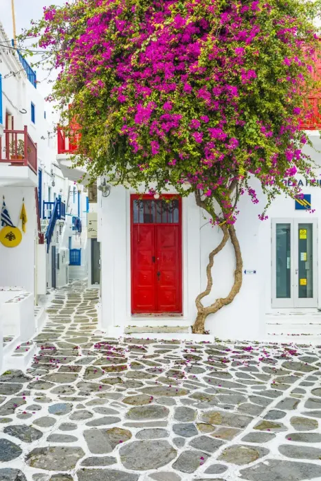Framed Print : Chora (Mykonos Town), Mykonos, Cyclades Islands, Greece Framed Print : Chora (Mykonos Town), Mykonos, Cyclades Islands, Greece