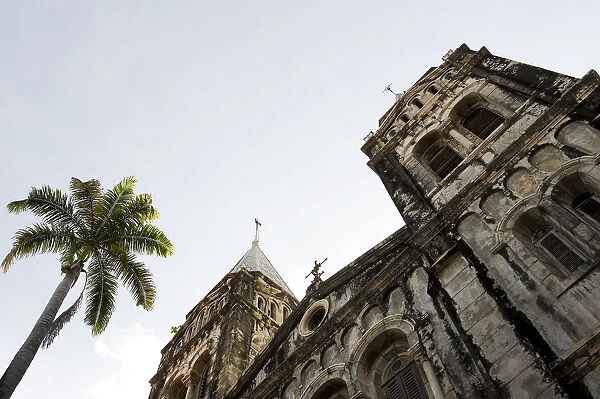 Christ Church Anglican cathedral and palm tree, Stone Town, Unguja Island, Zanzibar