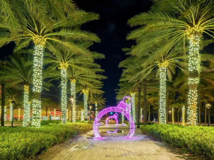 Framed Print : Christmas Ornaments Olas Boulevard, during the Christmas Holiday Season, Fort Lauderdale, Florida, USA Framed Print : Christmas Ornaments Olas Boulevard, during the Christmas Holiday Season, Fort Lauderdale, Florida, USA