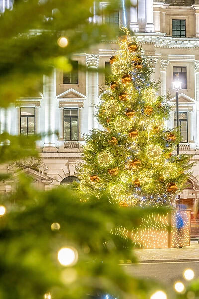 Christmas tree, Mayfair, London, England, UK