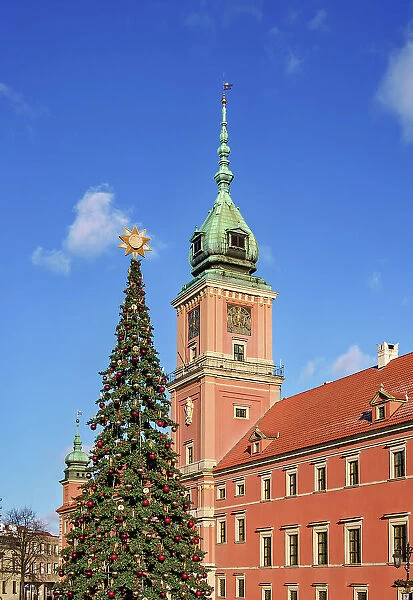 Christmas Tree in front of the Royal Castle, Castle Square, Warsaw, Masovian Voivodeship, Poland