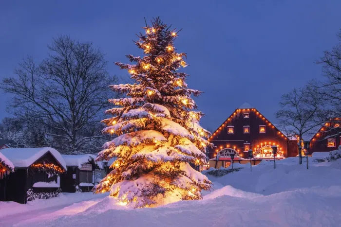Framed Print : Christmas Tree in toy village Seiffen at dawn, winter, Seiffen, Ore Mountains, Saxony
