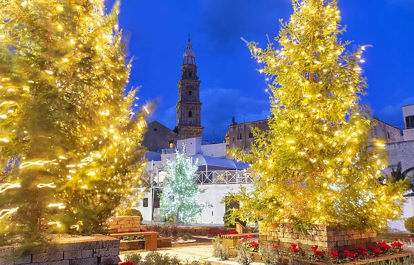 Christmas trees in the old town of Monopoli with view on the tower bell of the cathedral
