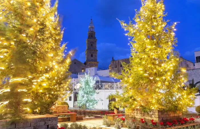 Framed Print : Christmas trees in the old town of Monopoli with view on the tower bell of the cathedral Framed Print : Christmas trees in the old town of Monopoli with view on the tower bell of the cathedral