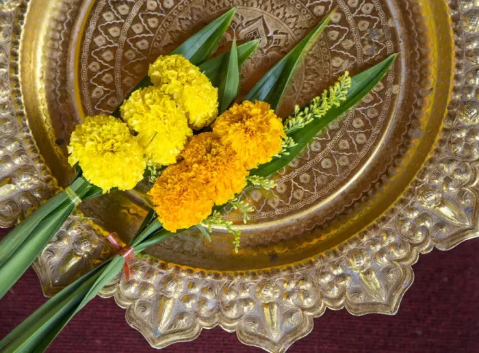 Framed Print : Chrysanthemum flowers on a dish at Wat Khunaram, Koh Samui, Thailand Framed Print : Chrysanthemum flowers on a dish at Wat Khunaram, Koh Samui, Thailand