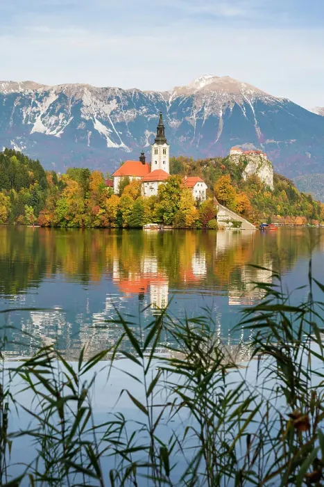 Framed Print : Church of the Assumption, Lake Bled, Upper Carniola Region, Gorenjska, Slovenia Framed Print : Church of the Assumption, Lake Bled, Upper Carniola Region, Gorenjska, Slovenia