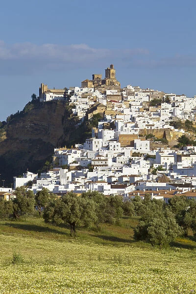 Church bell towers & whitewashed houses, Arcos De la Fontera, Cadiz Province, Andalusia
