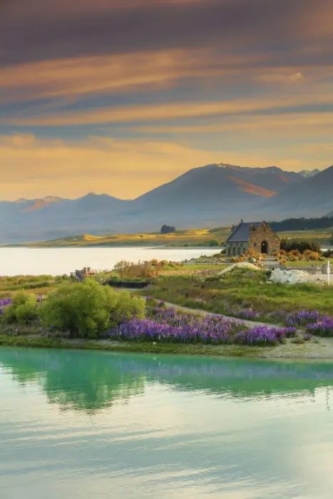 Framed Print : The Church of the Good Shepherd and Tekapo lake with lupins in bloom by the lake