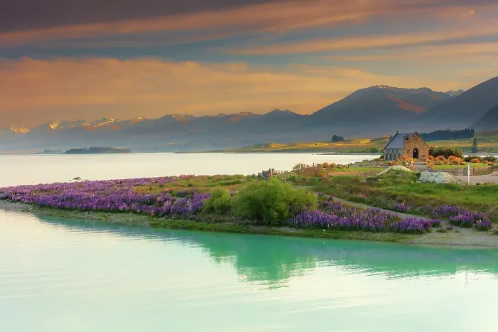 Framed Print : The Church of the Good Shepherd and Tekapo lake with lupins in bloom by the lake