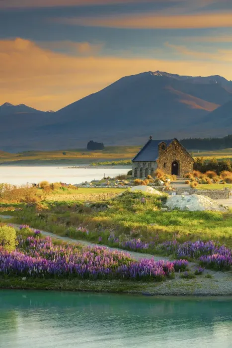 Framed Print : The Church of the Good Shepherd and Tekapo lake with lupins in bloom by the lake Framed Print : The Church of the Good Shepherd and Tekapo lake with lupins in bloom by the lake