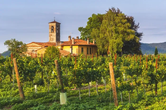 Framed Print : Church immersed in the Franciacorta vineyards, Brescia province, Lombardy district, Italy Framed Print : Church immersed in the Franciacorta vineyards, Brescia province, Lombardy district, Italy