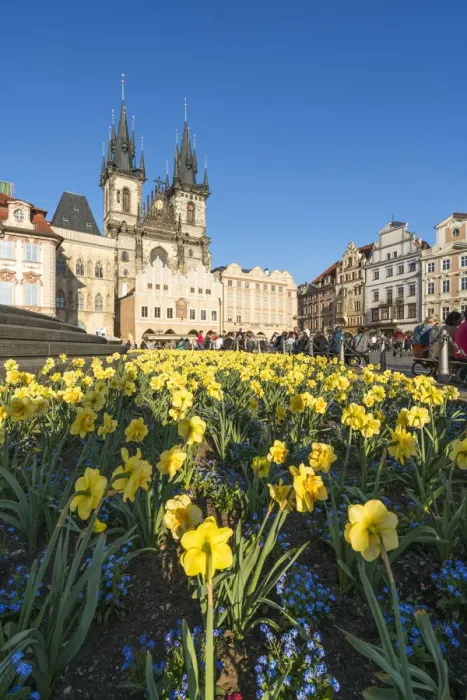 Framed Print : Church of our lady before Tyn and flowers at Jan Hus Memorial, Old Town Square, Prague Framed Print : Church of our lady before Tyn and flowers at Jan Hus Memorial, Old Town Square, Prague