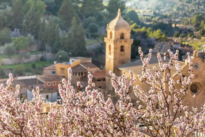 Framed Print : Church in the old town of Bunyola with blooming almond tree, Mallorca, Balearic Islands, Spain Framed Print : Church in the old town of Bunyola with blooming almond tree, Mallorca, Balearic Islands, Spain