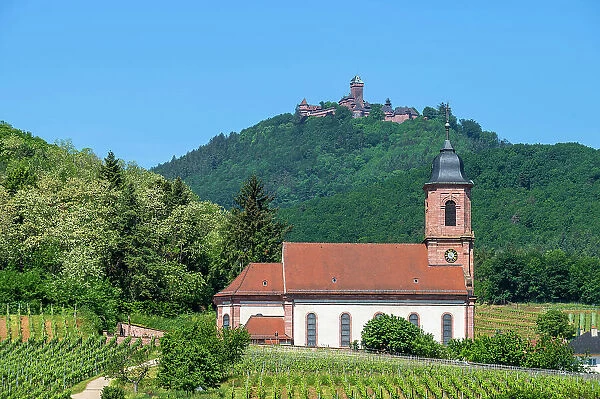 Church of Orschwiller with Chateau du Haut-K'nigsbourg, Bas-Rhin, Alsace, Alsace-Champagne-Ardenne-Lorraine, Grand Est, France