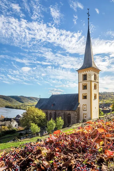 Framed Print : Church of St. Laurentius in Bremm on the Mosel, Mosel, Rhineland-Palatinate, Germany