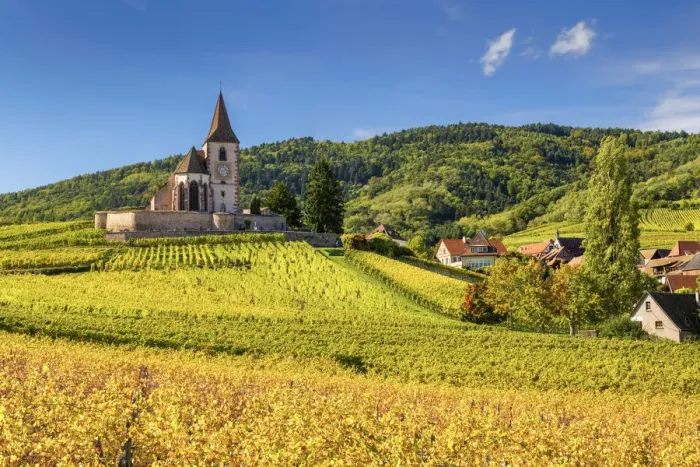 Framed Print : Church & Vineyards in Autumn, Hunawihr, Alsace, France Framed Print : Church & Vineyards in Autumn, Hunawihr, Alsace, France