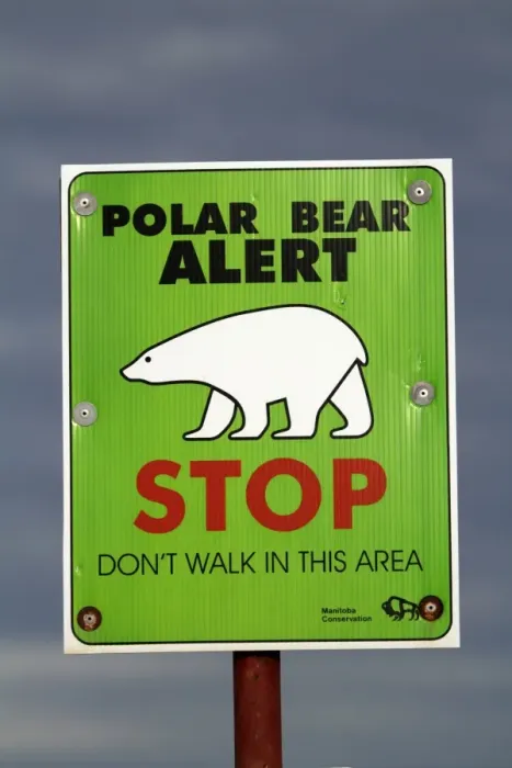 Framed Print : Churchill, Manitoba, Canada. A sign on the outskirts of Churchill warns residents Framed Print : Churchill, Manitoba, Canada. A sign on the outskirts of Churchill warns residents