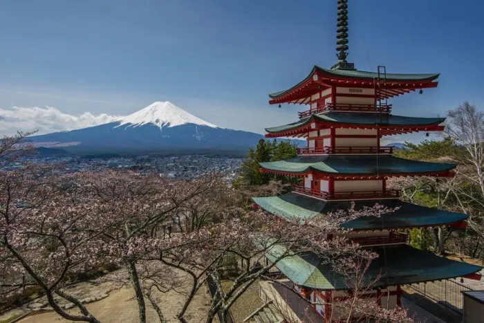 Framed Print : Chureito pagoda with blooming cherry trees and Mount Fuji in the background, Fujiyoshida Framed Print : Chureito pagoda with blooming cherry trees and Mount Fuji in the background, Fujiyoshida