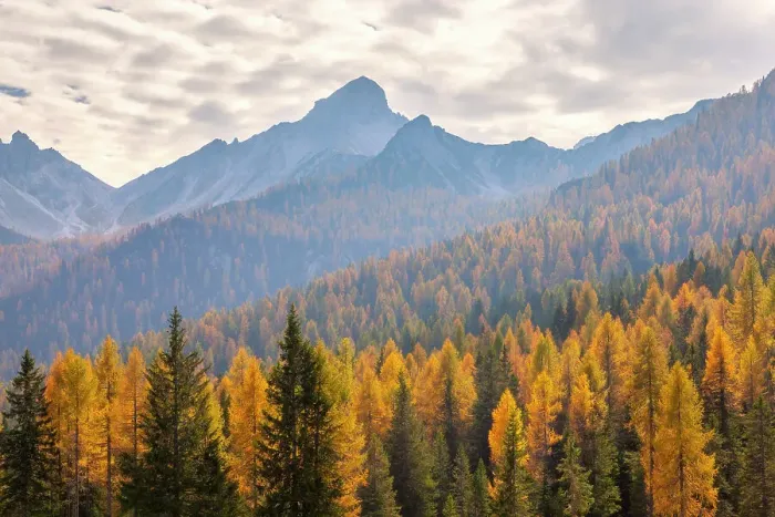 Framed Print : Cima Spe, Duranno - Preti group, Dolomites, Pieve di Cadore, Belluno province, Veneto, Italy Framed Print : Cima Spe, Duranno - Preti group, Dolomites, Pieve di Cadore, Belluno province, Veneto, Italy