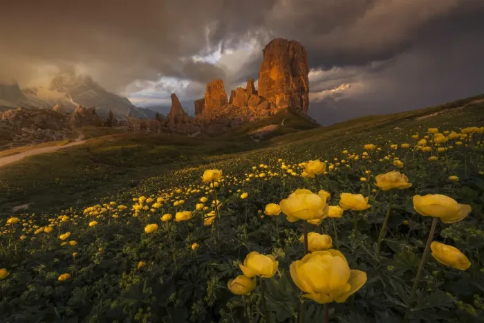Framed Print : Cinque Torri in the Dolomiti Bellunesi during a stormy summer sunset, Dolomites, Italy Framed Print : Cinque Torri in the Dolomiti Bellunesi during a stormy summer sunset, Dolomites, Italy