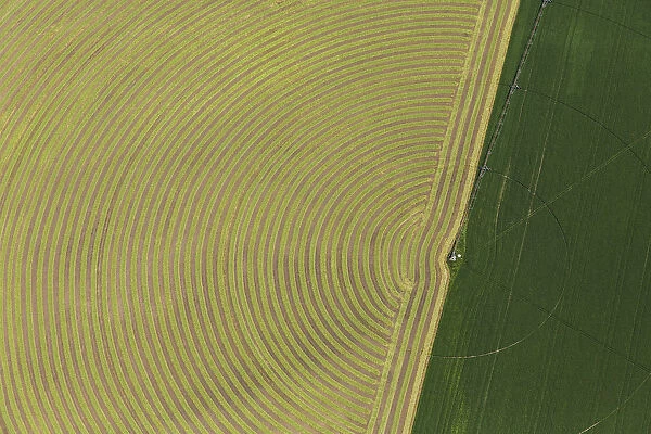 Circular pattern of crops from the air, Montana, USA