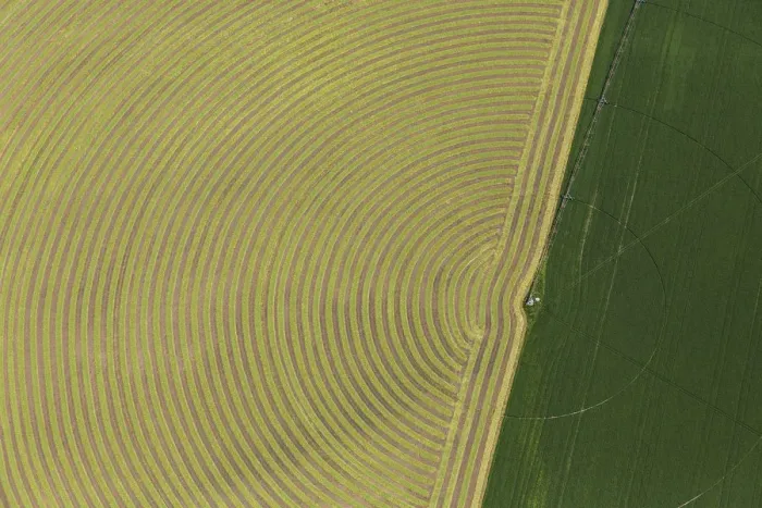 Framed Print : Circular pattern of crops from the air, Montana, USA Framed Print : Circular pattern of crops from the air, Montana, USA