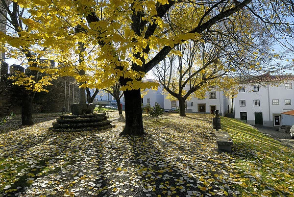 The citadel of Braganca in Autumn. Tras os Montes, Portugal