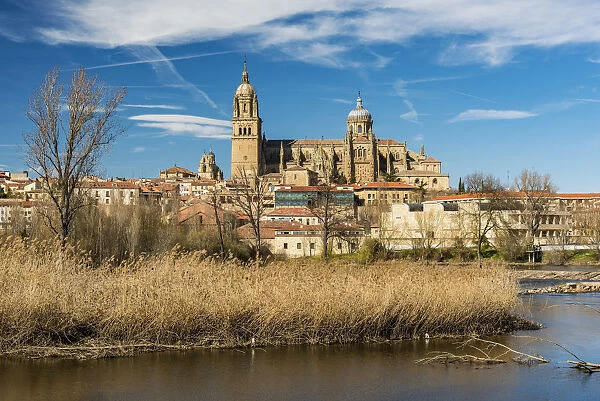 City skyline with the Cathedral, Salamanca, Castile and Leon, Spain