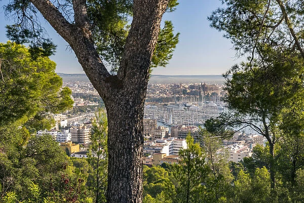 City skyline, Palma, Majorca, Balearic Islands, Spain