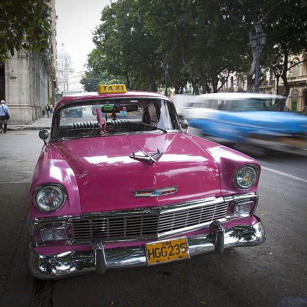 Classic American Car (Chevrolet), Paseo del Prado, Havana, Cuba