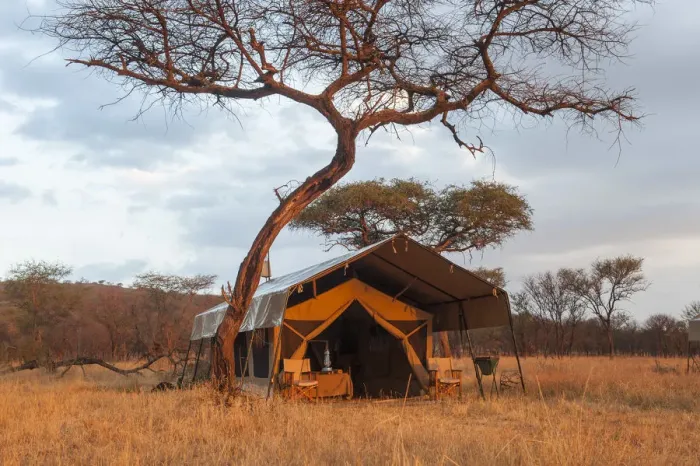 Framed Print : A classic safari tent at dawn on the African plains, Tanzania Framed Print : A classic safari tent at dawn on the African plains, Tanzania