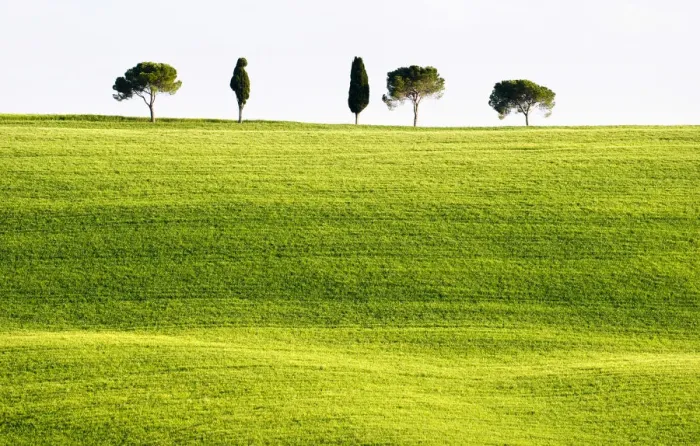 Framed Print : Classic Tuscan landscape, near San Quirico, Valle de Orcia, Tuscany, Italy Framed Print : Classic Tuscan landscape, near San Quirico, Valle de Orcia, Tuscany, Italy