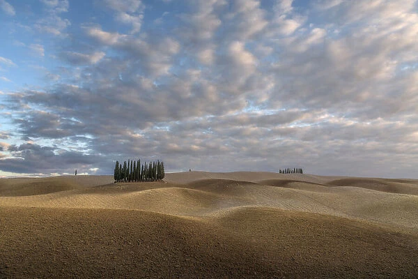 The classic Tuscany landscape during a cloudy autumn sunuset: rolling hills ready to be planted again and some cypress trees. Tuscany, Italy