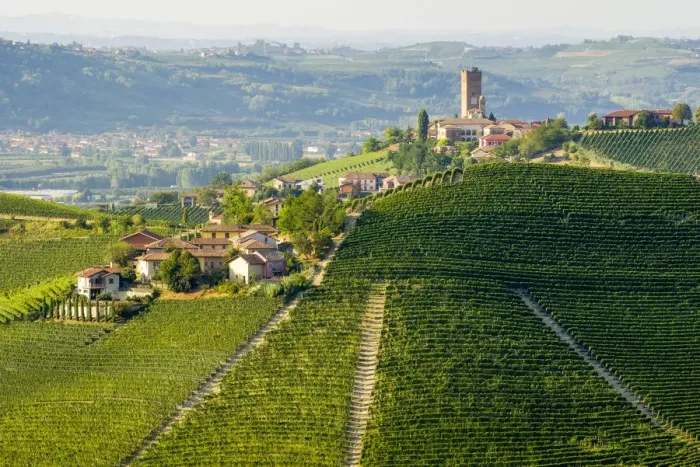 Framed Print : Classic viewpoint on Barbaresco in Langhe, Barbaresco, Piedmont, Italy Framed Print : Classic viewpoint on Barbaresco in Langhe, Barbaresco, Piedmont, Italy