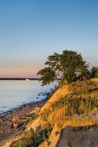 Cliff in evening light, Brodtener Ufer, Niendorf, Baltic coast, Schleswig-Holstein
