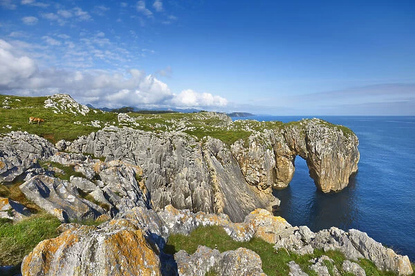 Cliff landscape with rock arch - Spain, Asturias, Oriente, Ribadesella