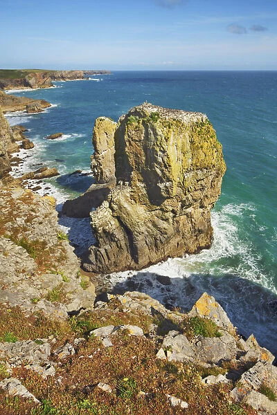 Cliff landscape at Stack Rocks - United Kingdom, Wales, Pembrokeshire, Pembroke, Merrion