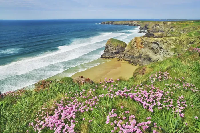 Framed Print : Cliff landscape with thrifts at Bedruthan Steps - United Kingdom, England, Cornwall