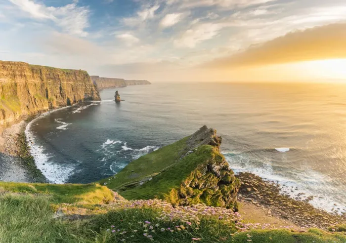 Framed Print : Cliffs of Moher at sunset, with flowers on the foreground Framed Print : Cliffs of Moher at sunset, with flowers on the foreground