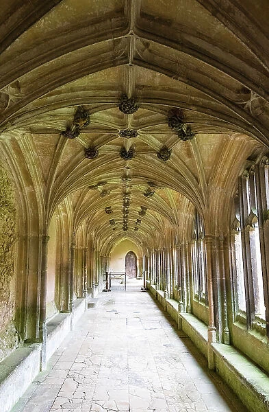 Cloisters of Lacock Abbey, founded in the early 13th century, and used as a filming location for Harry Potter movies, Lacock, Wiltshire, England
