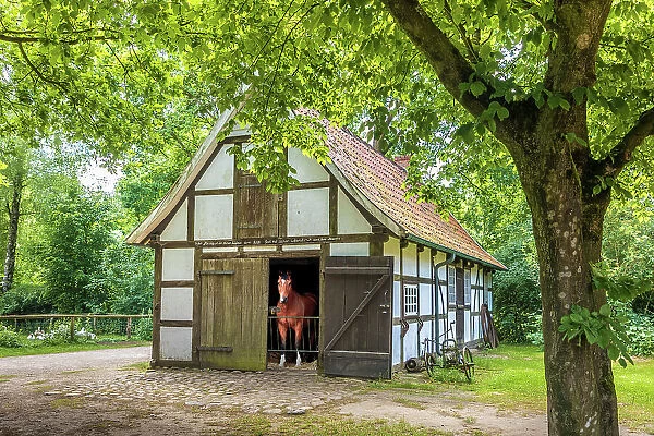 Cloppenburg Museum Village: Workshop building from the Thole farm in Dalvers (Osnabrueck district, built in 1815), Emsland, Lower Saxony, Germany